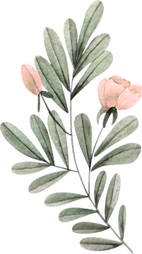 Самандбадраа - Уламжлалт эмнэлэг